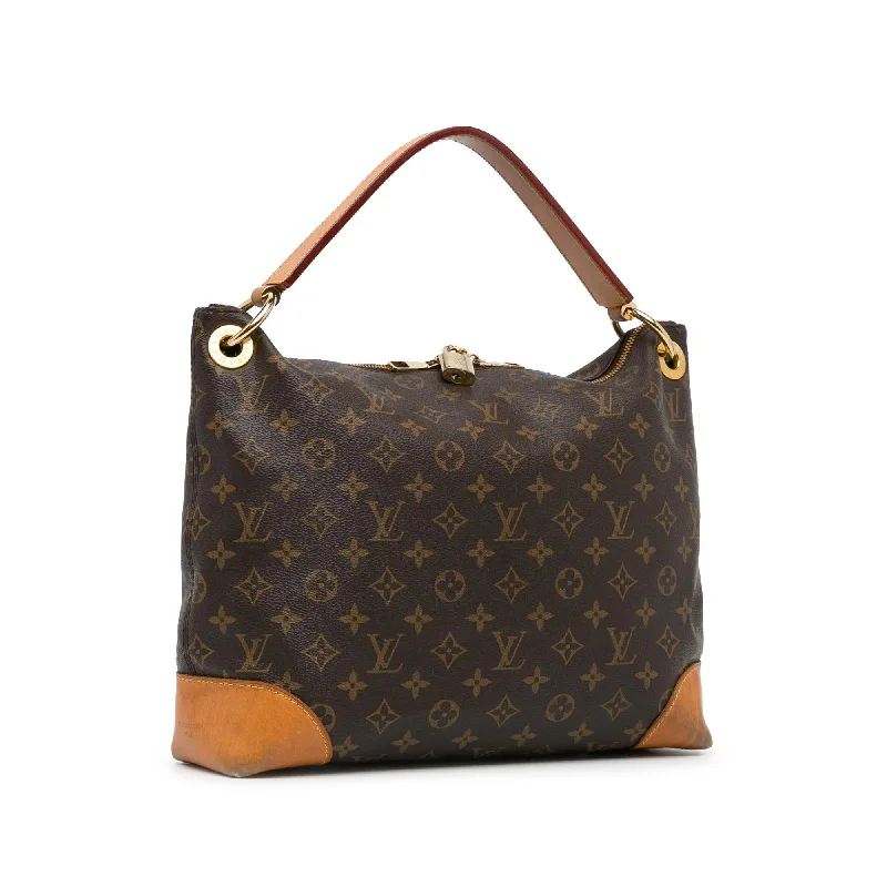 Louis Vuitton bags with a chain - link trim and a leather body for a modern edgeLouis Vuitton Monogram Berri PM (Ir6126)